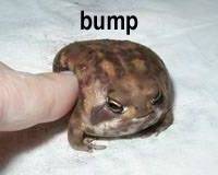 14317